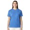 Soft Adult Comfortable Crewneck Short Sleeve T-Shirt for Everyday Wear & Custom Printing Tee